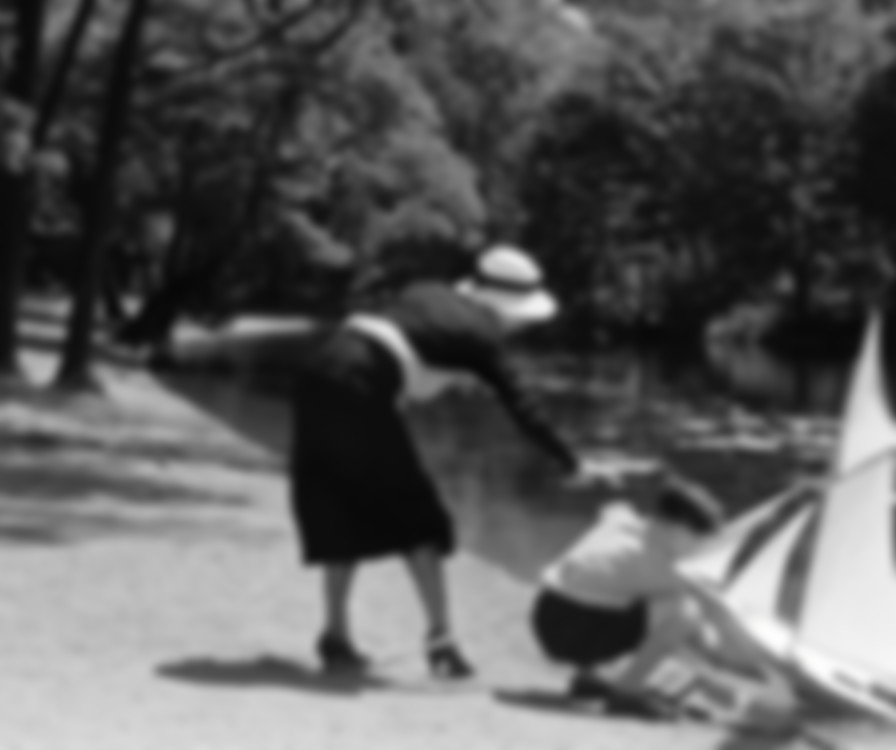 Boudu Saved from Drowning backdrop