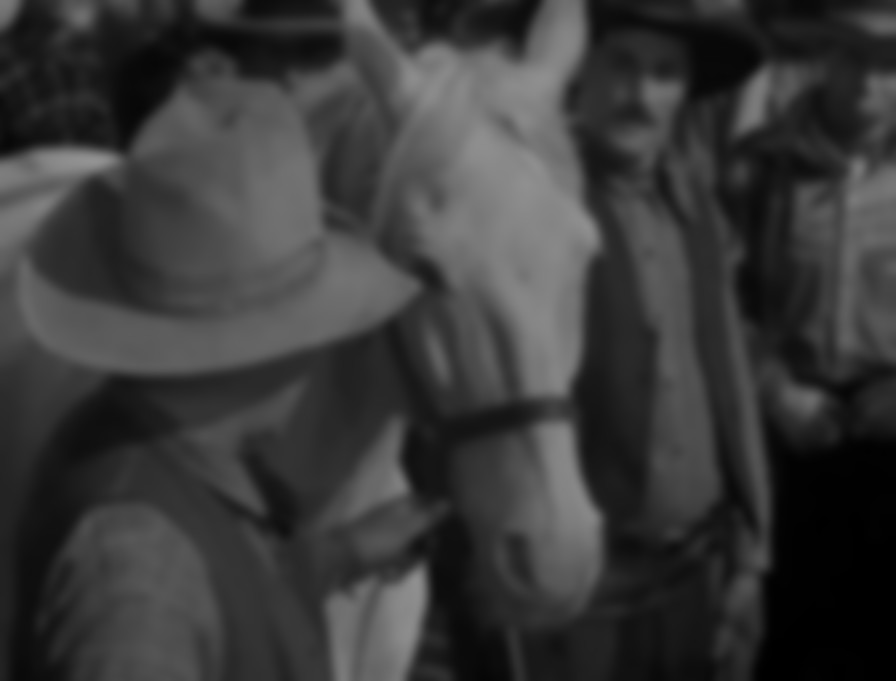 Ride Him, Cowboy backdrop