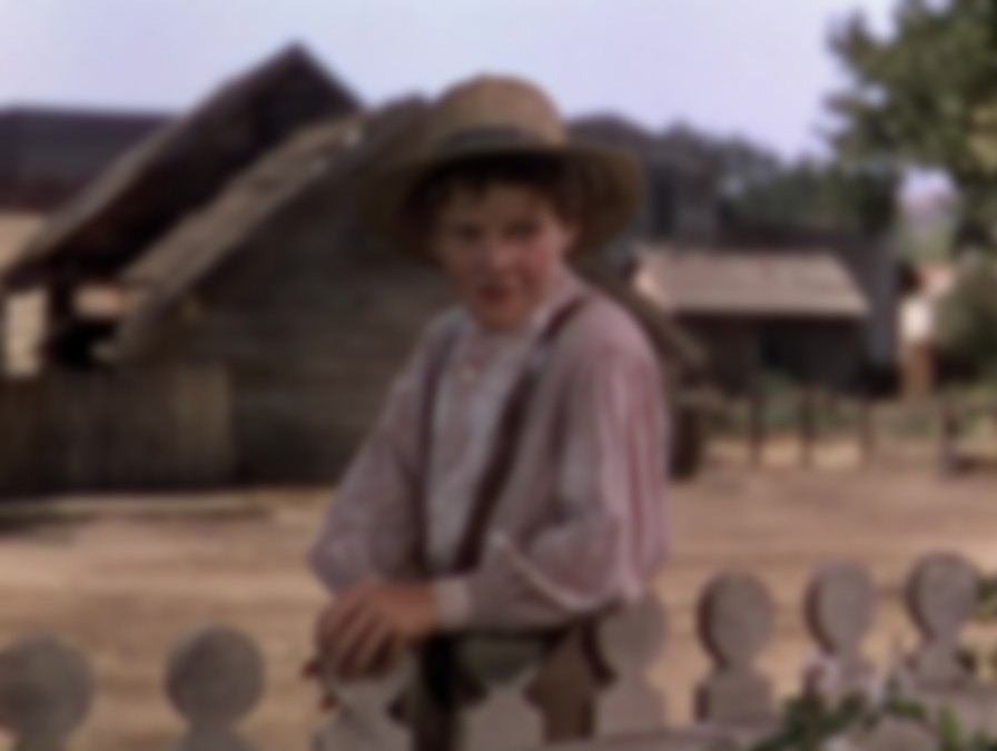 The Adventures of Tom Sawyer backdrop