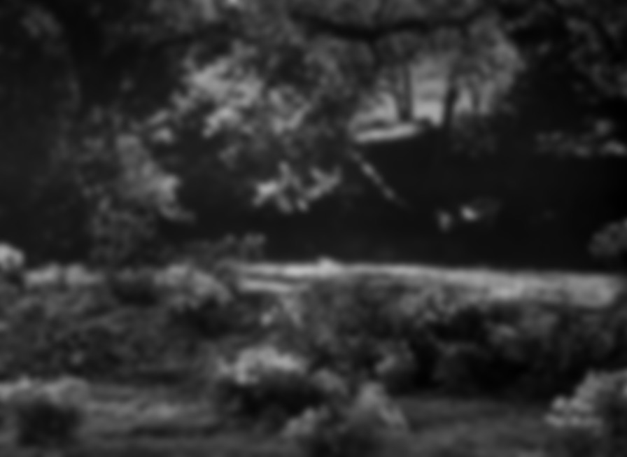 The Curse of the Cat People backdrop