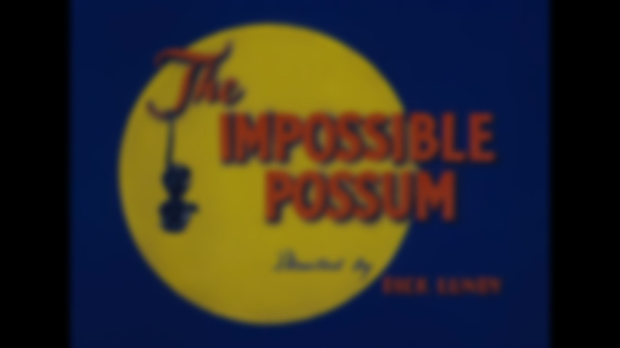 The Impossible Possum backdrop