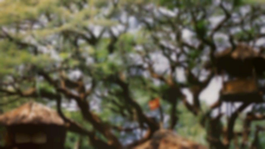 Swiss Family Robinson backdrop