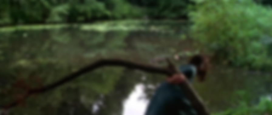 The Pirates of Blood River backdrop