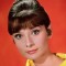 Audrey Hepburn