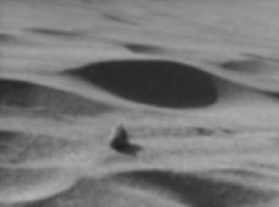 Woman in the Dunes backdrop