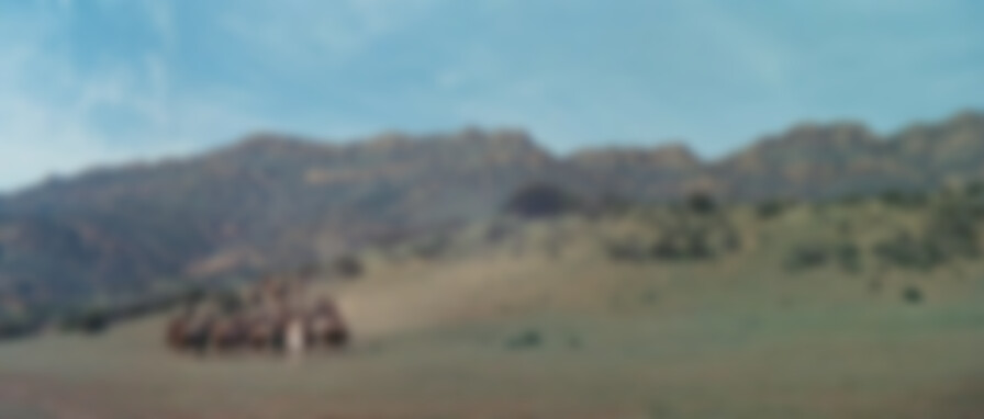 7 Women backdrop