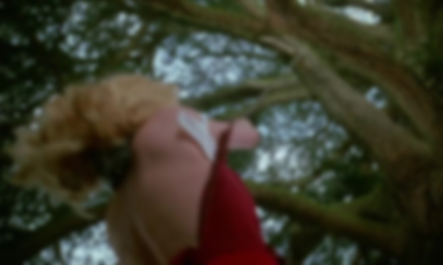 Belle de Jour backdrop