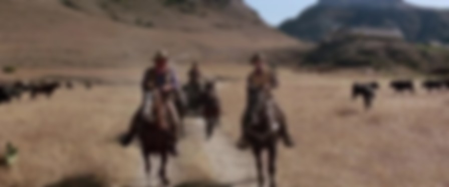 Chisum backdrop