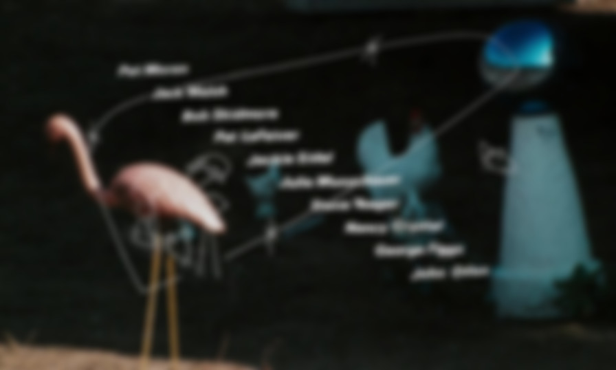 Pink Flamingos backdrop