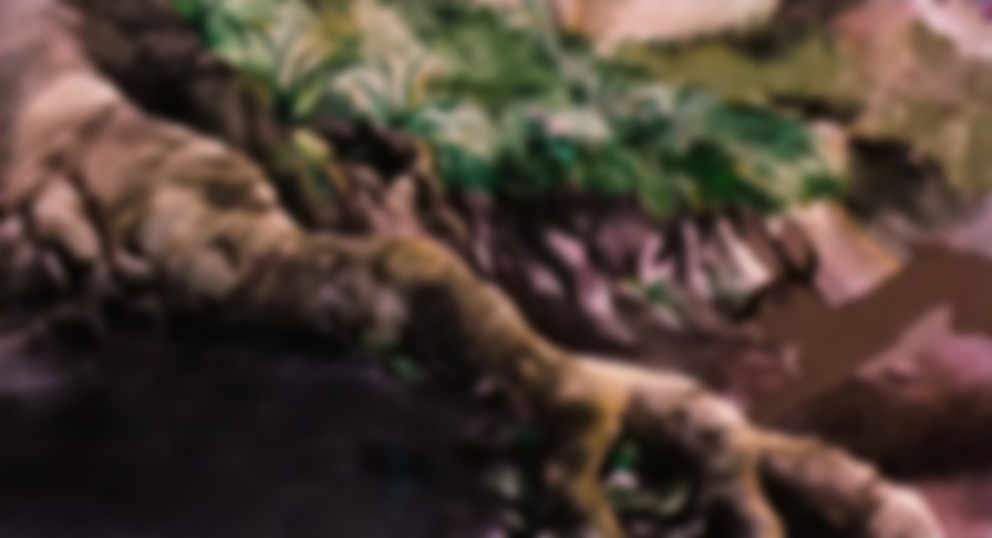 Watership Down backdrop