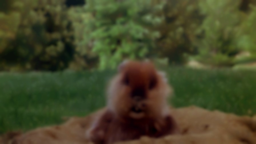 Caddyshack backdrop