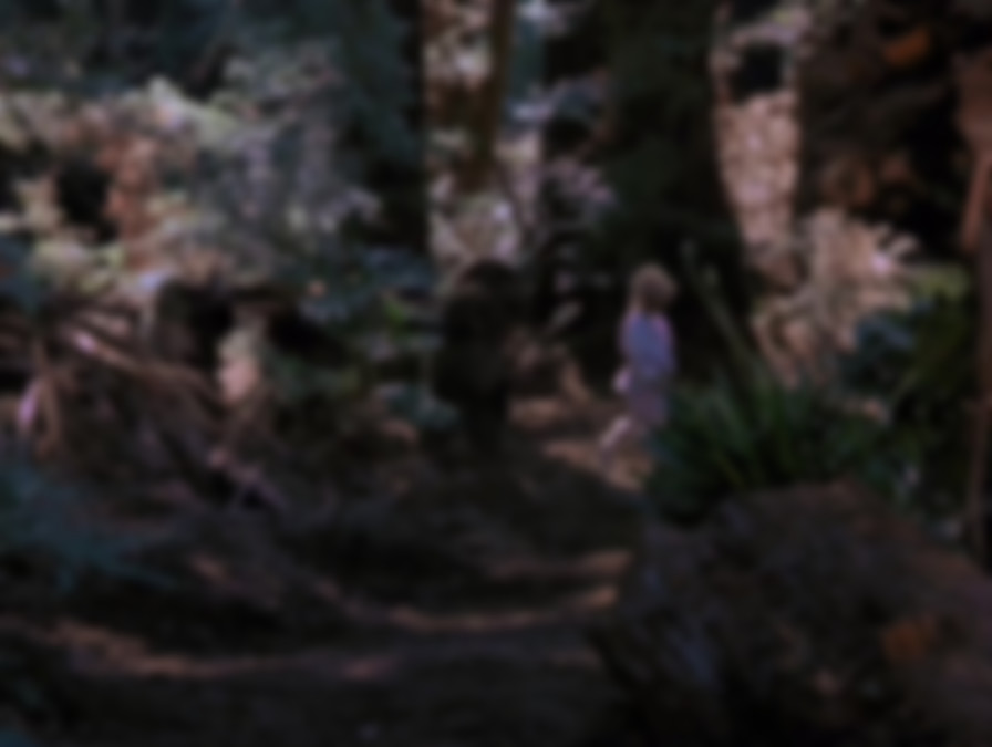 The Ewok Adventure backdrop