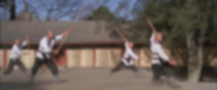 Martial Arts of Shaolin backdrop