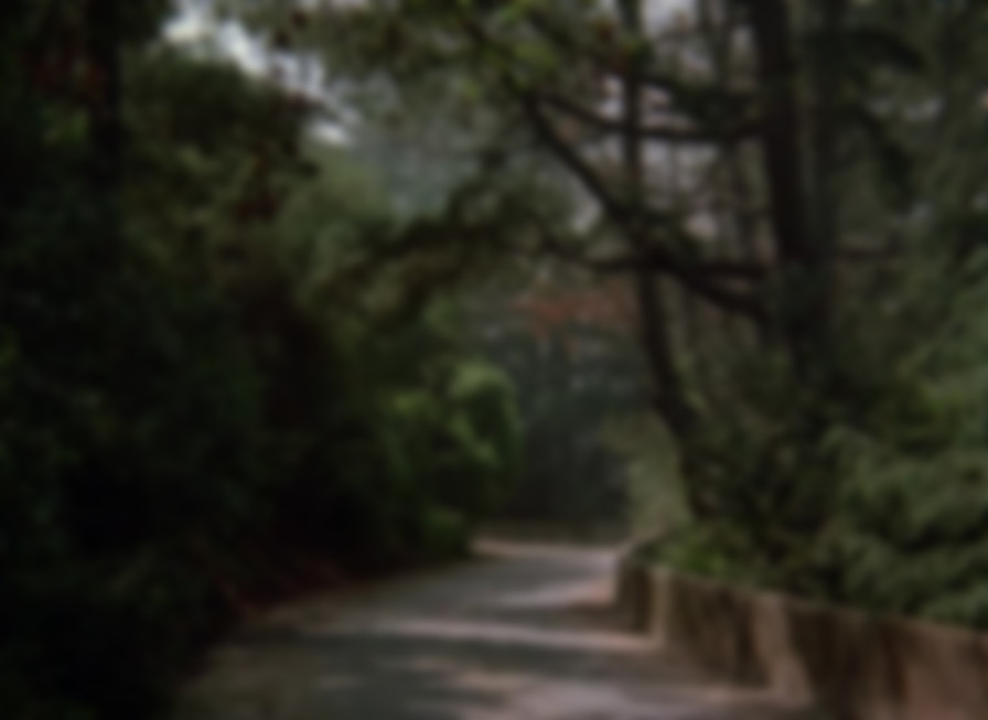 Return to Mayberry backdrop