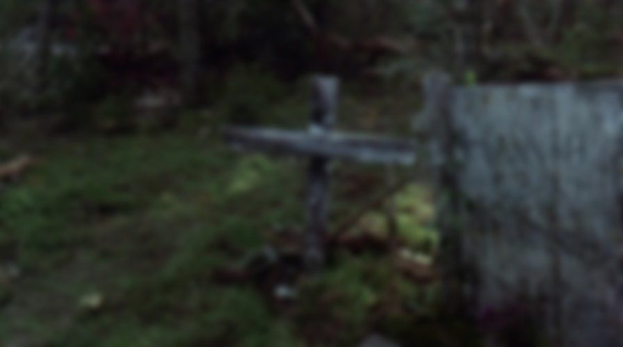 Pet Sematary backdrop