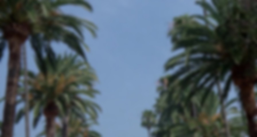Troop Beverly Hills backdrop