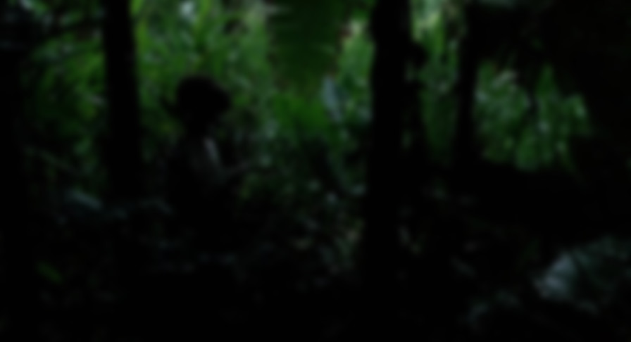 Lord of the Flies backdrop