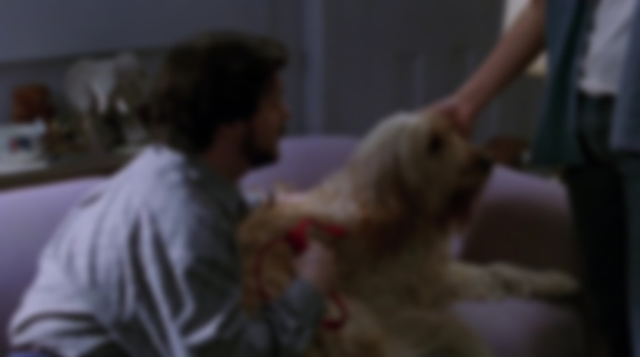 Frankie and Johnny backdrop