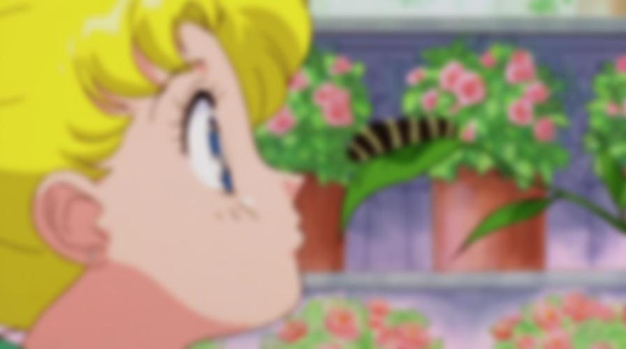 Sailor Moon R: The Movie: The Promise of the Rose backdrop
