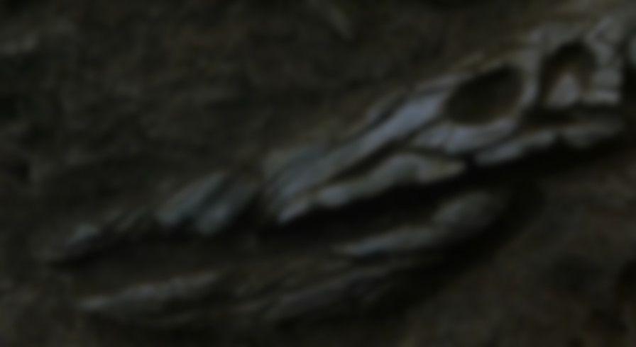 Godzilla vs. Mechagodzilla II backdrop