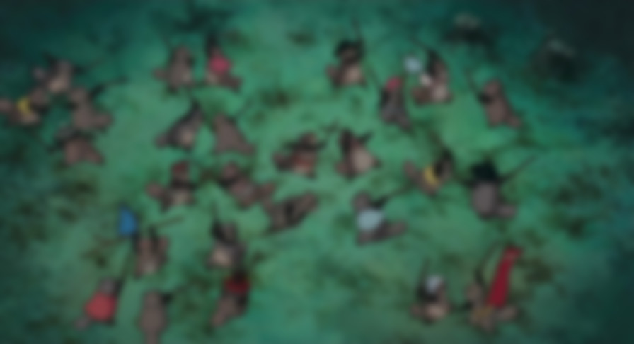 Pom Poko backdrop