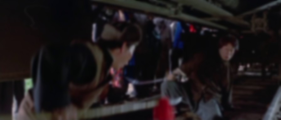 Drunken Master II backdrop