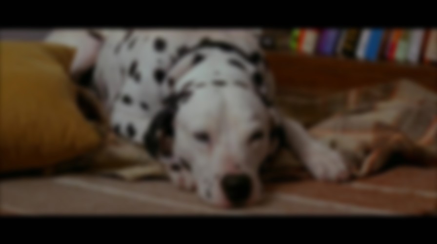 101 Dalmatians backdrop