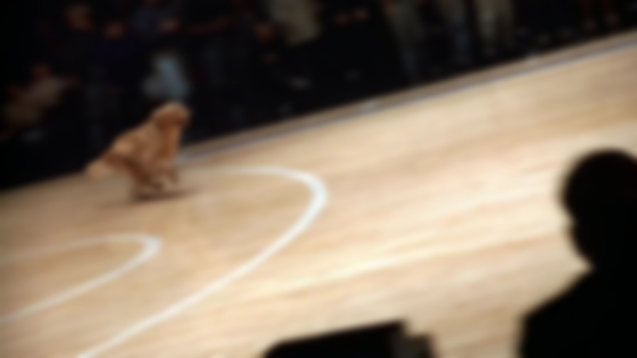 Air Bud: Golden Receiver backdrop