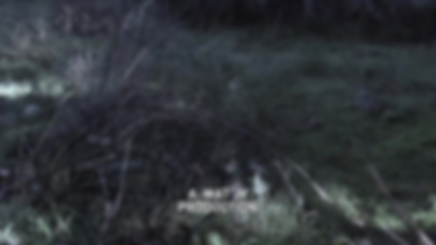 Mystery Woman: Vision of a Murder backdrop