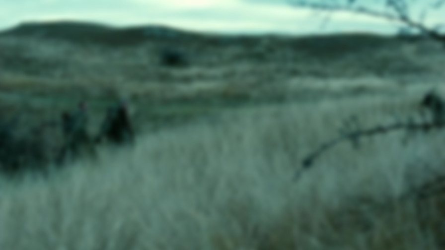 Season of the Witch backdrop