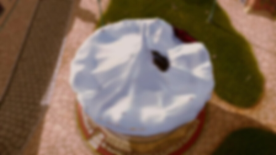 Doogal backdrop