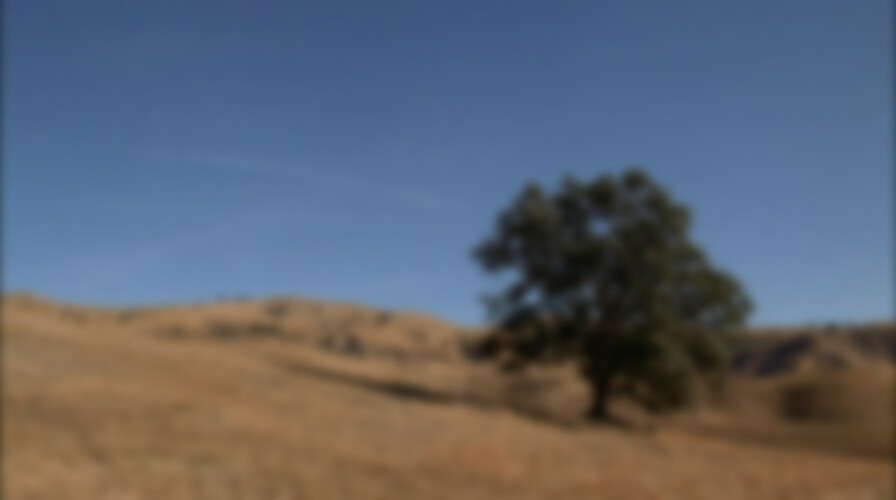 Love's Unending Legacy backdrop