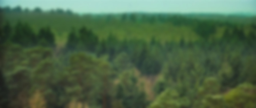 Eden Lake backdrop