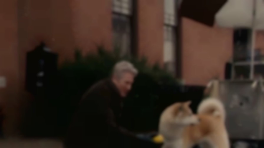 Hachi: A Dog's Tale backdrop