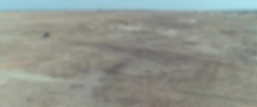 Saloum backdrop