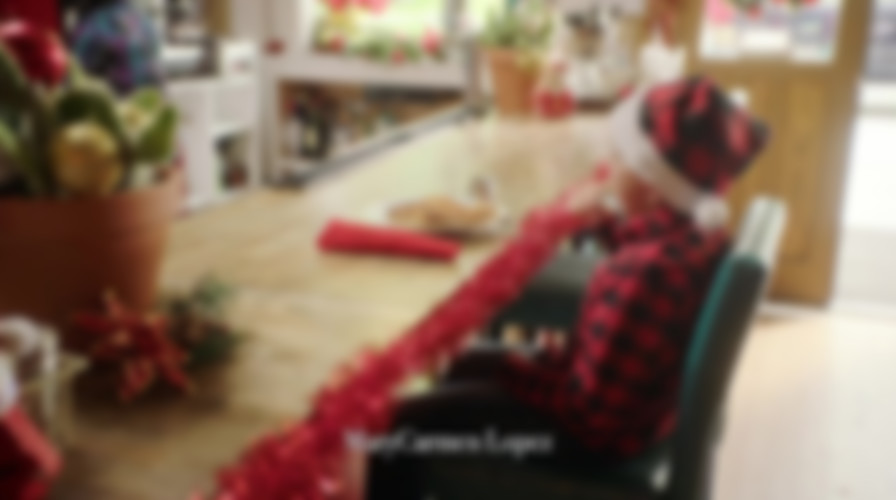 Feliz NaviDAD backdrop
