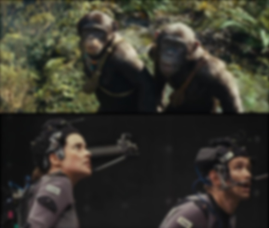 Kingdom of the Planet of the Apes backdrop