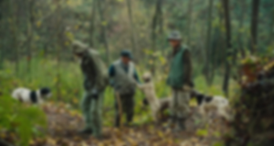 The Truffle Hunters backdrop