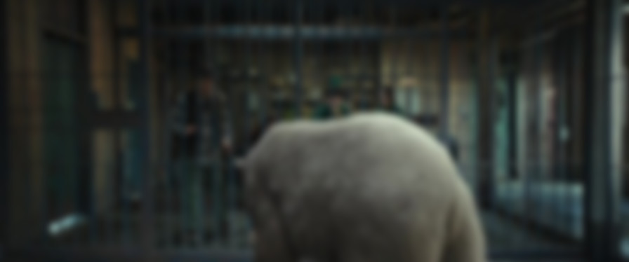 Secret Zoo backdrop