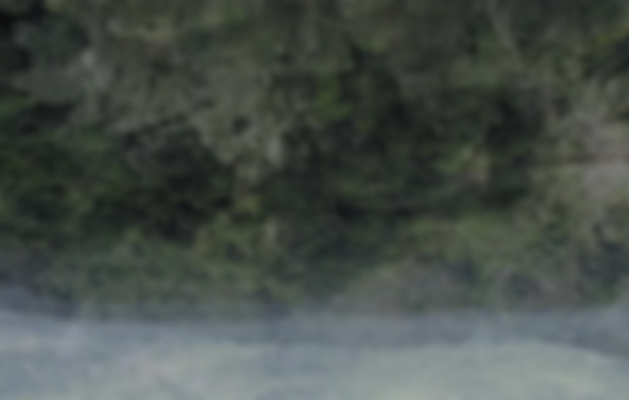 Gaia backdrop