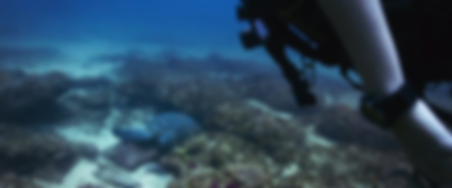 Deep Blue Sea 3 backdrop