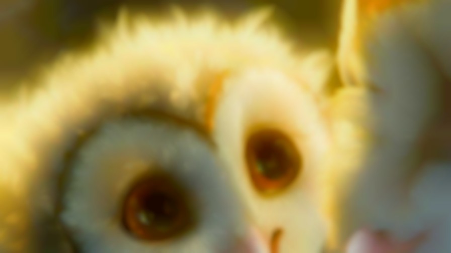 Legend of the Guardians: The Owls of Ga'Hoole backdrop