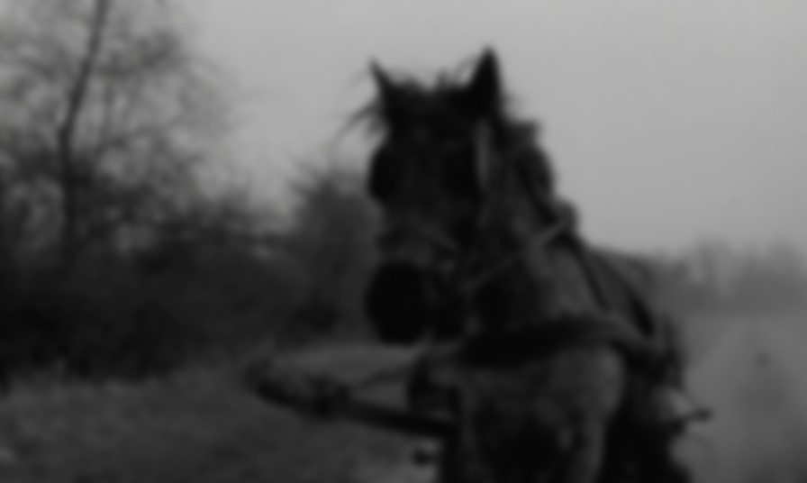The Turin Horse backdrop