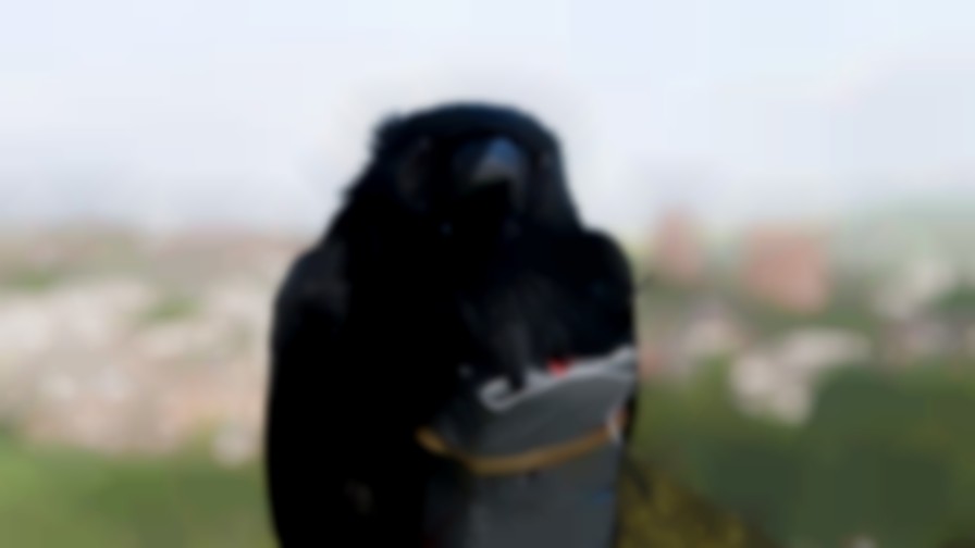 Four Lions backdrop