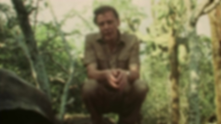 Charles Darwin and the Tree of Life backdrop