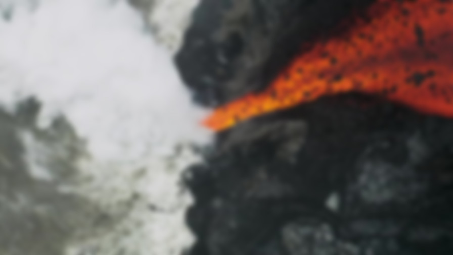 Nature Sharks of Hawaii backdrop