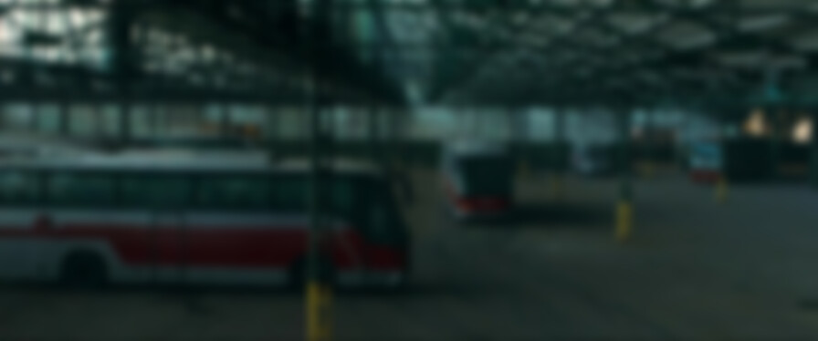 Bird Box: Barcelona backdrop