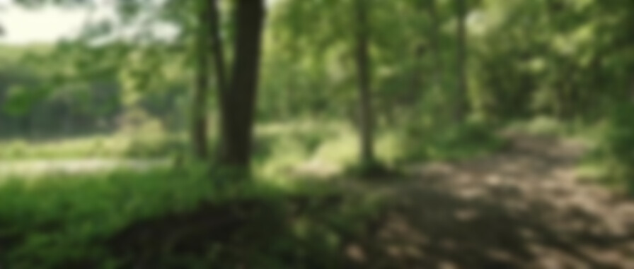 Brightwood backdrop