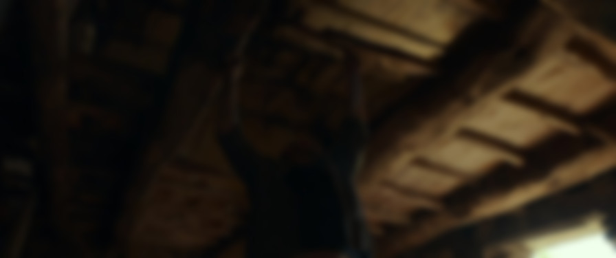 The Beasts backdrop