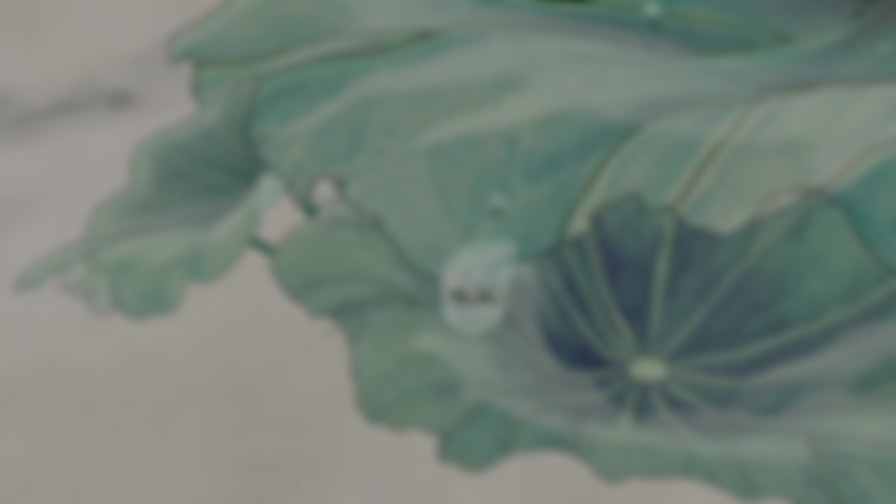 Journey to the West backdrop